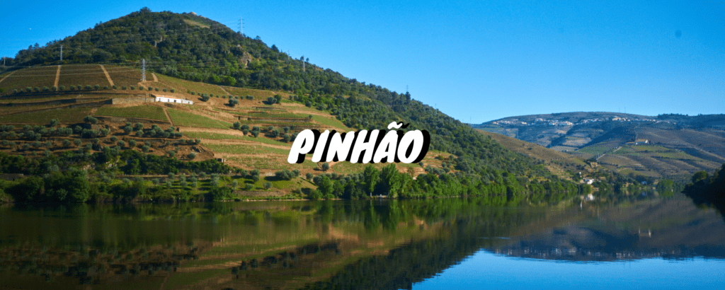 Header Pinhão