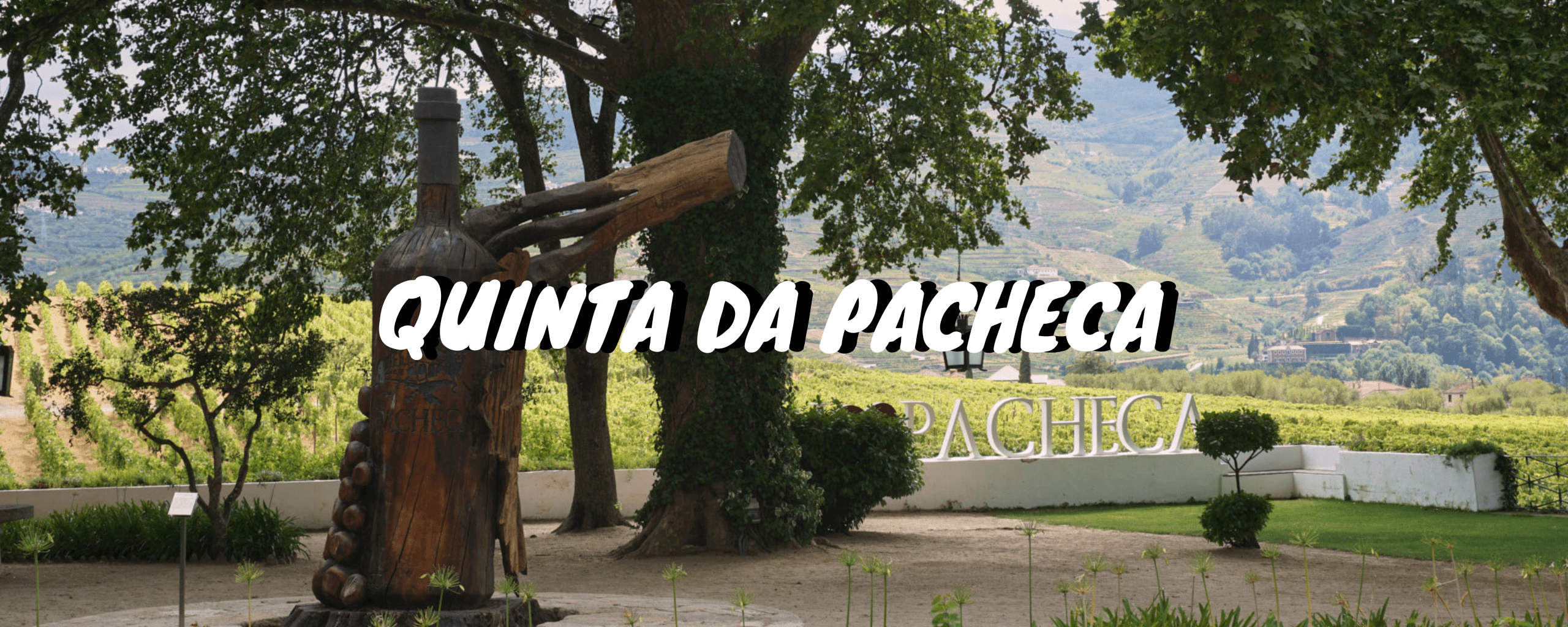 Pacheca Header