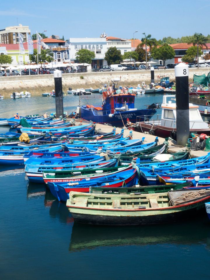 Setúbal & Troia