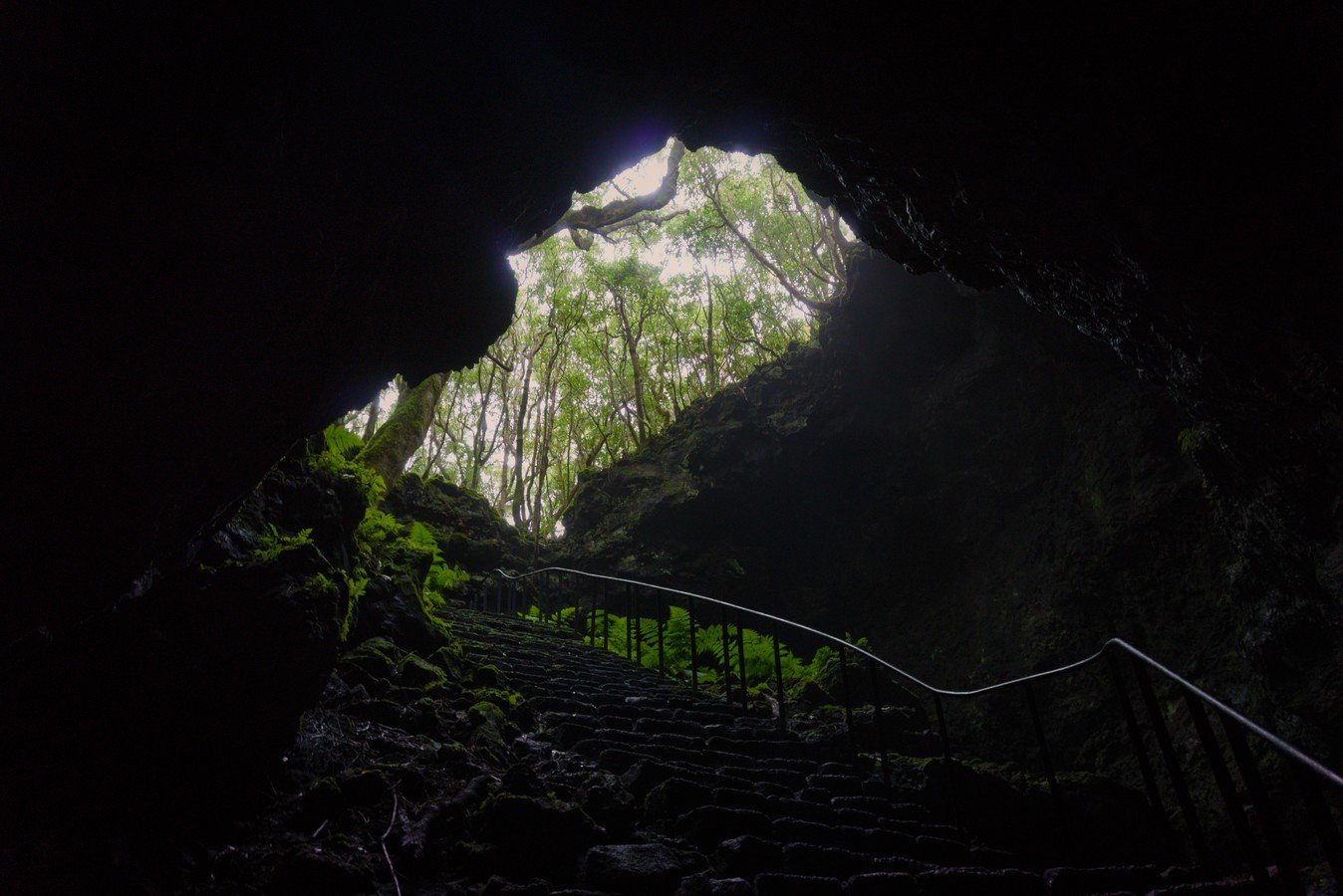 Gruta das Torres: o Maior Tubo Lávico de Portugal