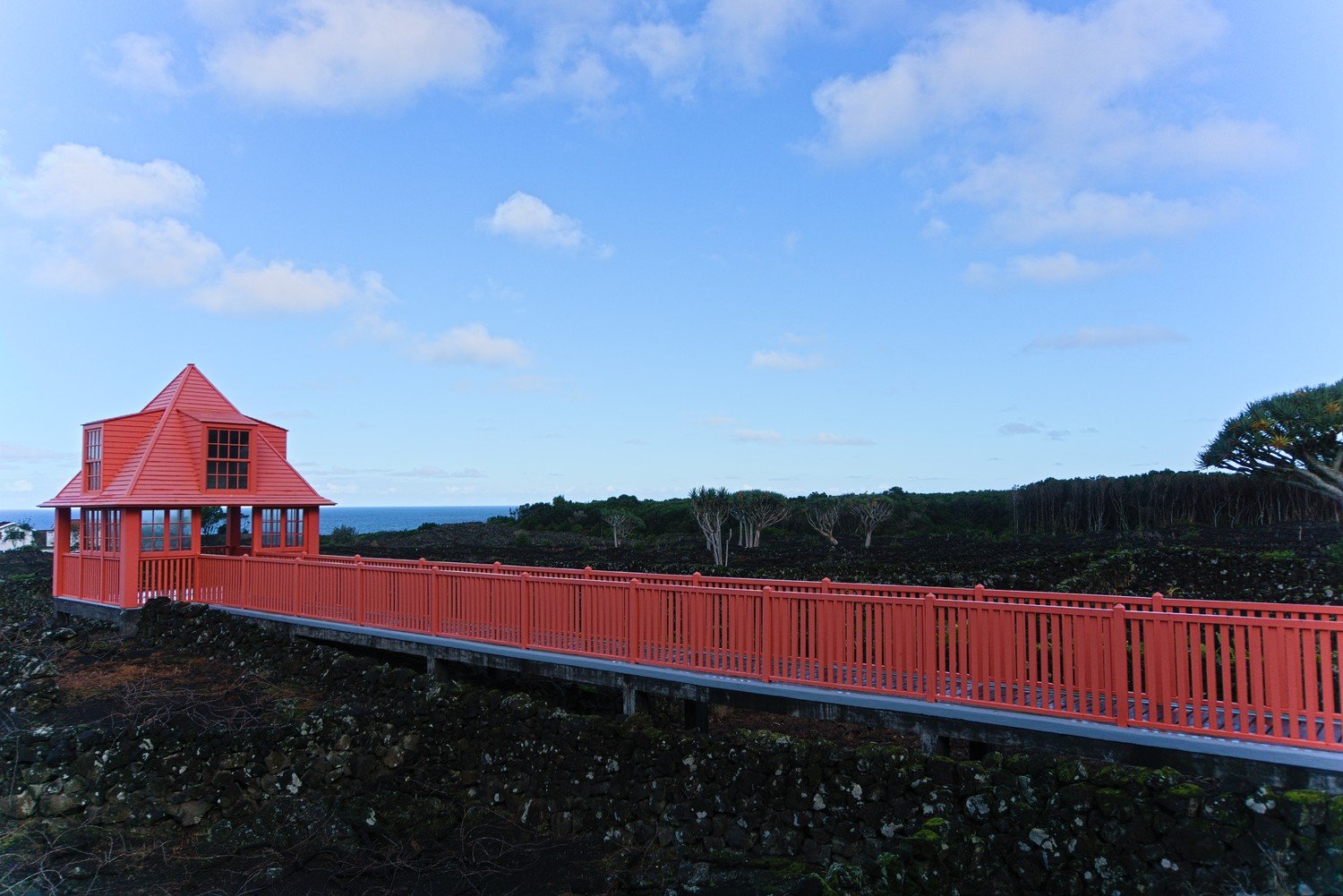 Museu do Vinho no Pico