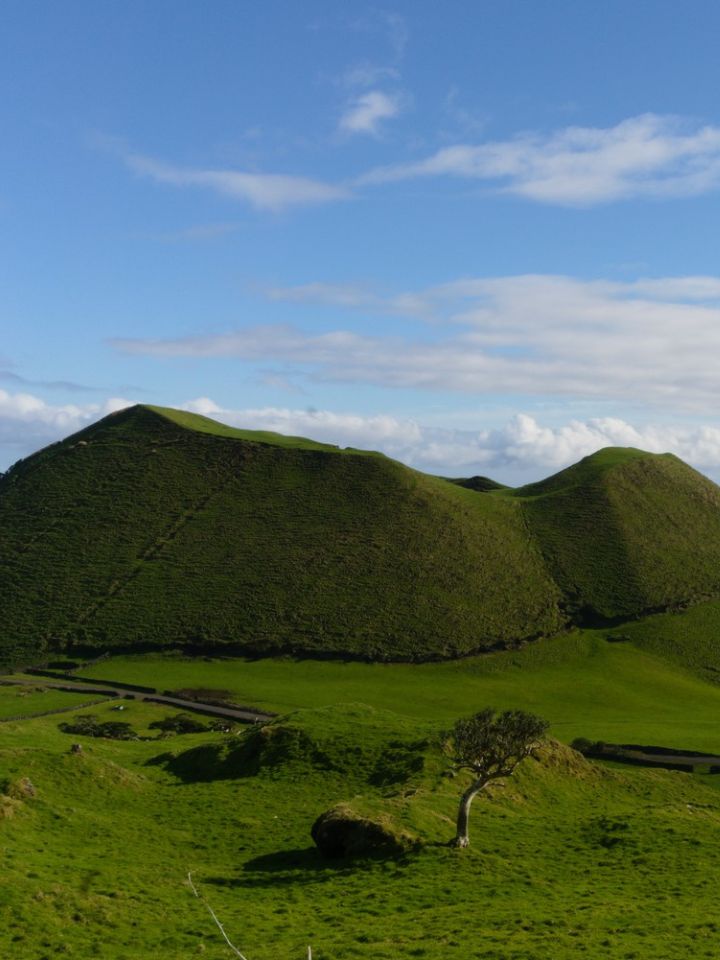 Pico: Roteiro