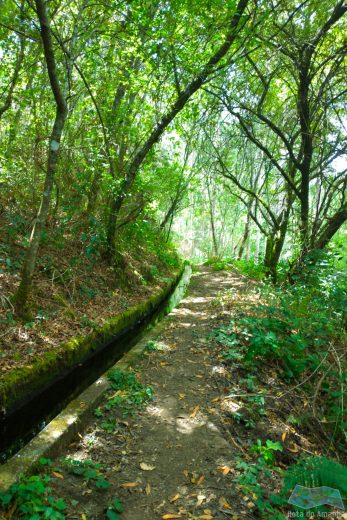 Levada Santa Cruz Vale de Cambra