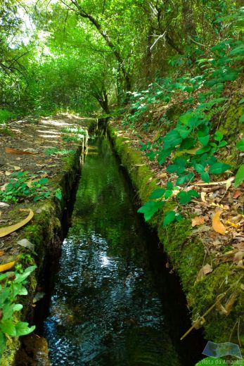 Levada de Santa Cruz Água