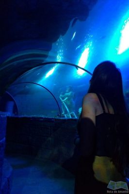 Túnel SeaLife